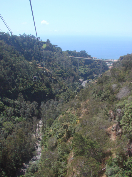 Schlüsselwörter: Portugal Madeira Monte Jardim Botanico