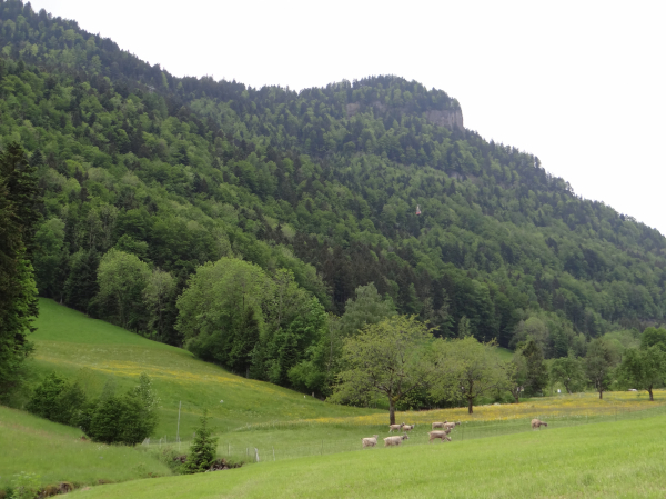 Schlüsselwörter: Schweiz Kräbel Rigi Scheidegg