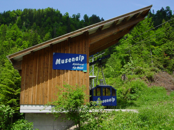 Schlüsselwörter: Schweiz Niederrickenbach Musenalp