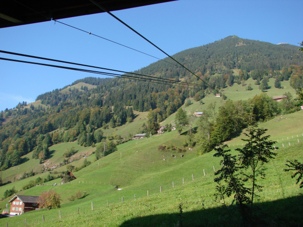 Schlüsselwörter: Schweiz Oberrickenbach Haldiwald